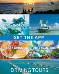 Get the app