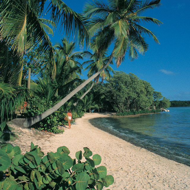 Beaches
