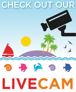 Check out our live cam