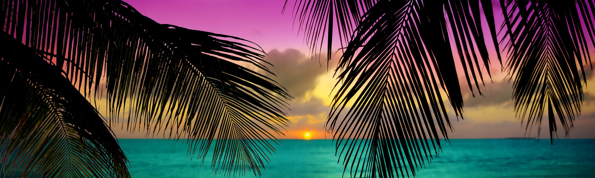 Purple sky sunset through palm fronds